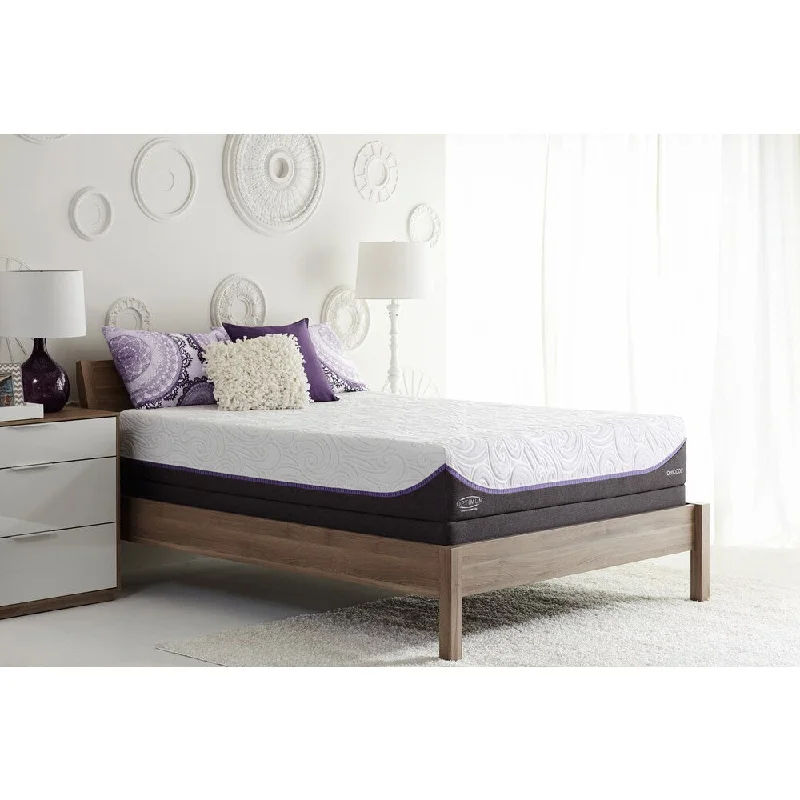 Memory foam mattresses for pressure relief and contouringOptimum by Sealy Posturepedic Inspiration Gold Plush Queen-size Mattress - White
