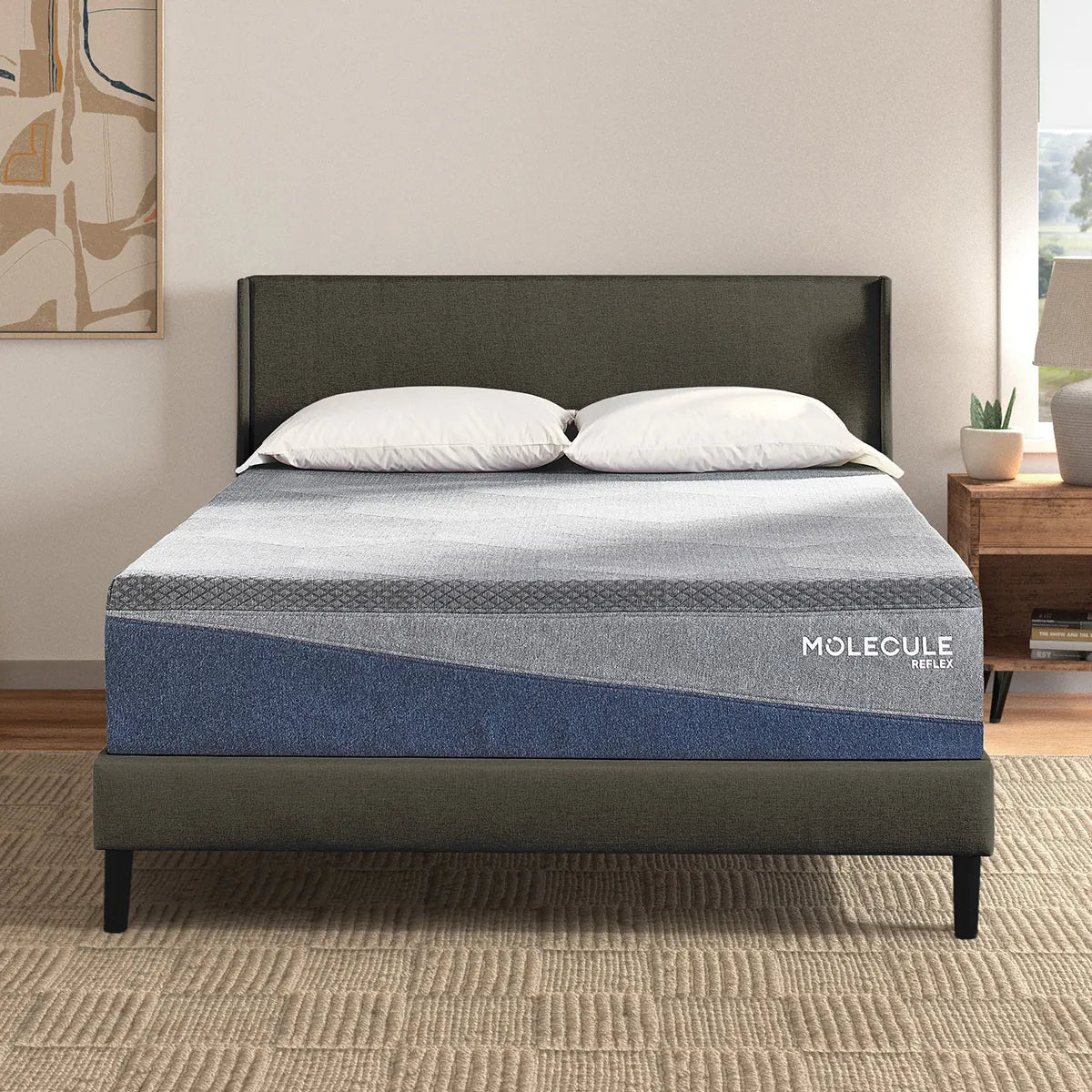 Organic cotton mattresses for a chemical - free sleep surfaceMolecule Reflex Embrace Plush Mattress