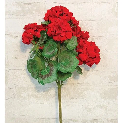 Bed skirts with a lace trim for a romantic touchGeranium Bush 18" Red