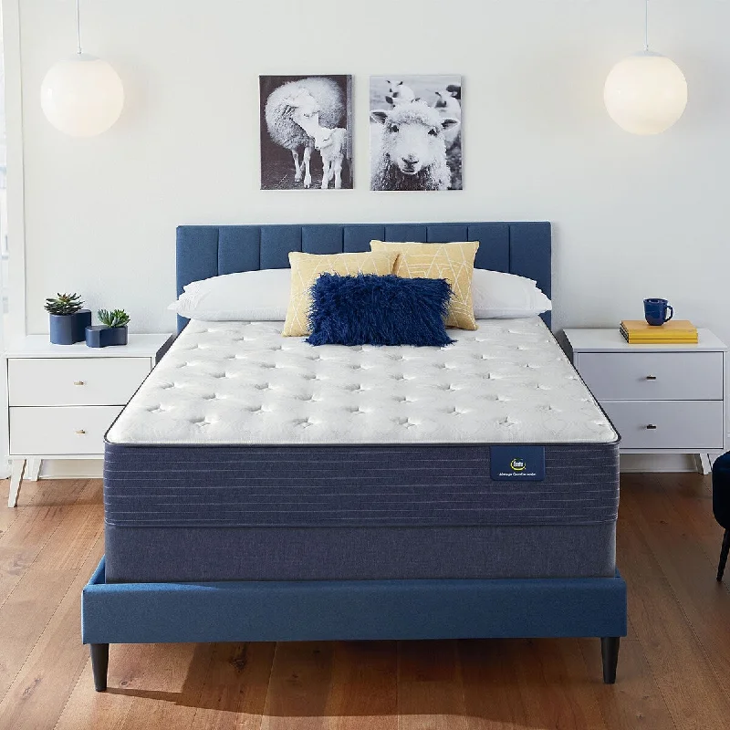 Bamboo - charcoal infused mattresses for odor absorptionSerta Clarks Hill 11" Plush Mattress Bamboo - charcoal infused mattresses for odor absorptionSerta Clarks Hill 11" Plush Mattress