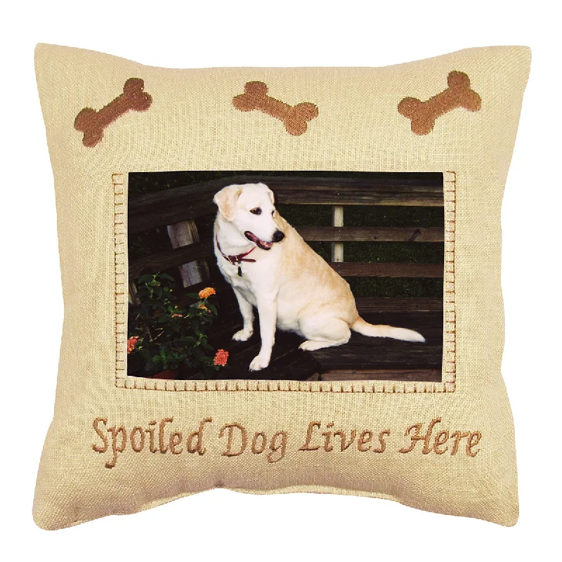 Decorative Pillows for Living Room MakeoverSpoiled Dog Mini Pillow