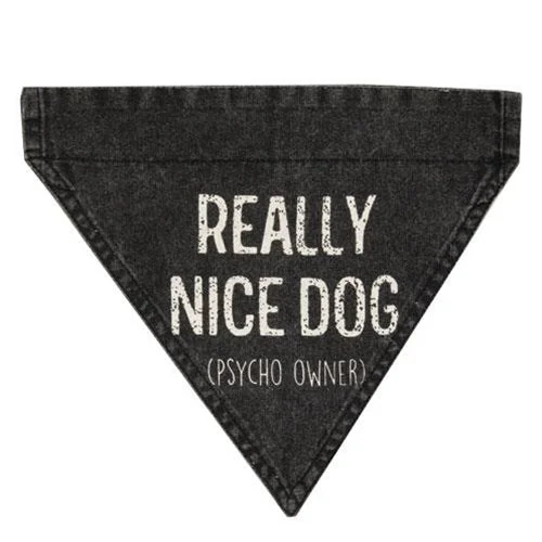 Bed skirts with a football - team - colored patternReally Nice Dog (Psycho Owner) Dog Bandana