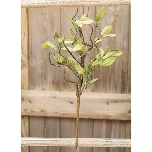 Bed skirts with a eco - friendly materialSage Leaves & Twigs Pick 16"