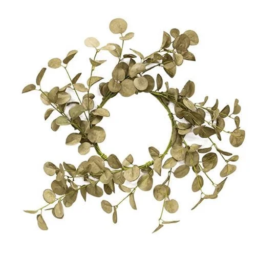 Bed skirts with a multi - colored patternFoamy Silver Dollar Wreath Sage 16"