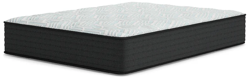 Polyester - foam mattresses for budget - friendly optionsPalisades Plush King Mattress