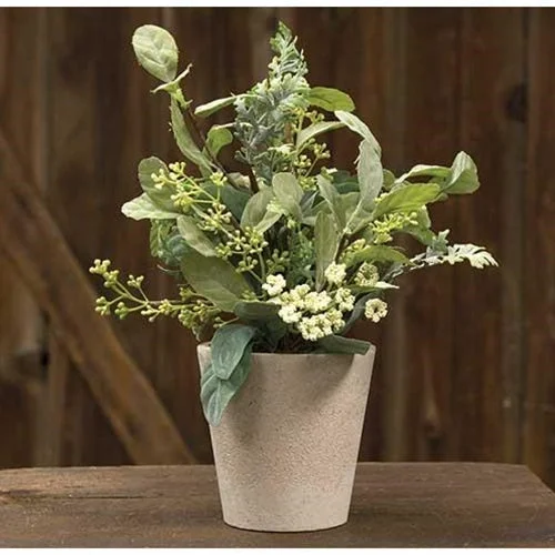 Bed skirts with a tropical print for a vacation - inspired feel*Mixed Lamb's Ear w/Pot*