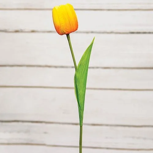 Bed skirts with a beach - themed printSunrise Tulip Stem 15.5"