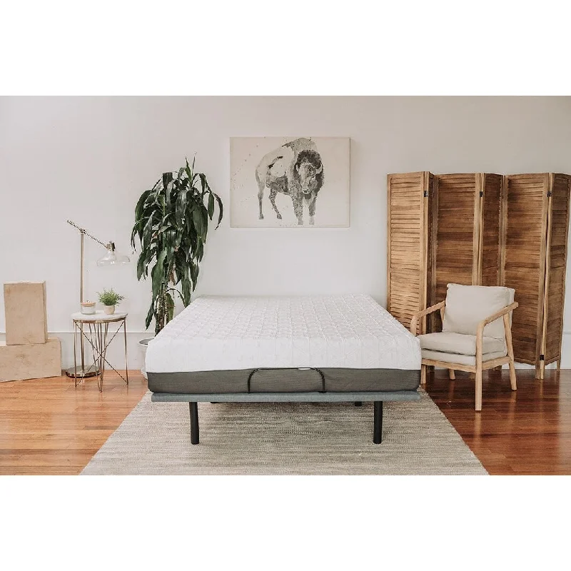 Organic cotton mattresses for a chemical - free sleep surface10" Gel Memory Foam Mattress California King in