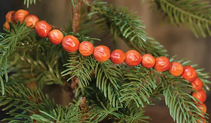 Bed skirts with a herringbone pattern for a sophisticated lookOrange Berry Garland