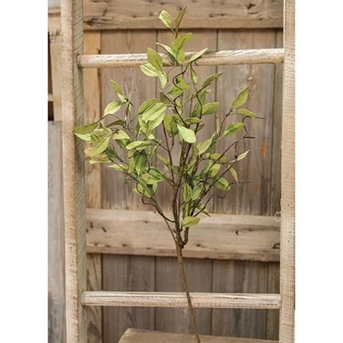 Bed skirts with a modern art - inspired printSage Leaves & Twigs Spray 25"