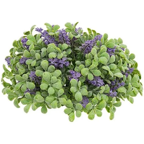 Bed skirts with a Christmas - themed patternPurple Sage Boxwood Half Sphere