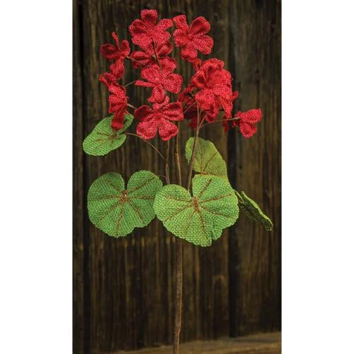 Queen - size bed skirts with ruffled edgesRed Burlap Geranium Bush