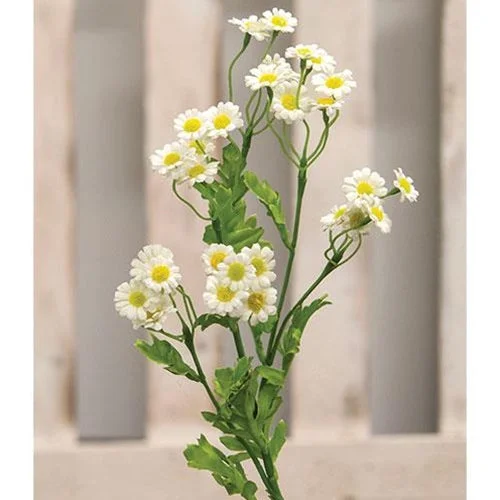 Bed skirts with a flannel material for a cozy winter optionChamomile Flower Spray White