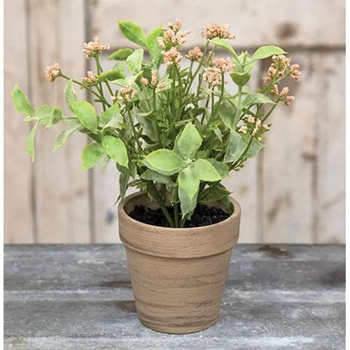 Bed skirts with a wrinkle - resistant fabricPotted Happy Harmony 8"