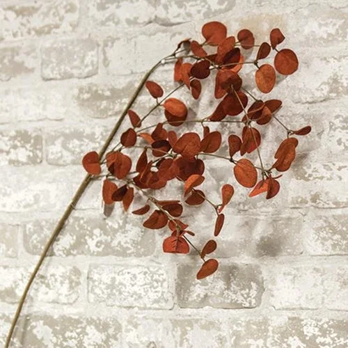 Queen - size bed skirts with ruffled edgesPenny Leaf Spray Red 34"