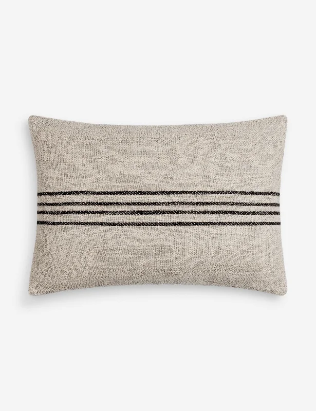 Decorative Pillows for Living Room MakeoverBrett I Pillow by Becki Owens x Surya
